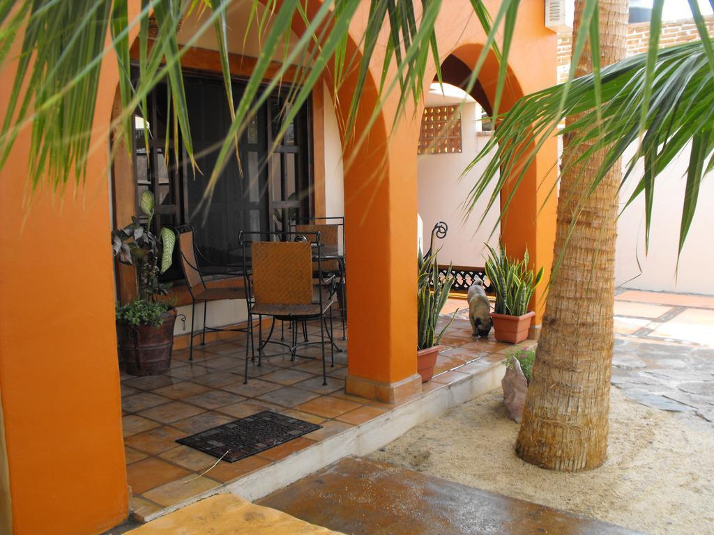 Hotel Leo'S Baja Oasis La Paz Zimmer foto