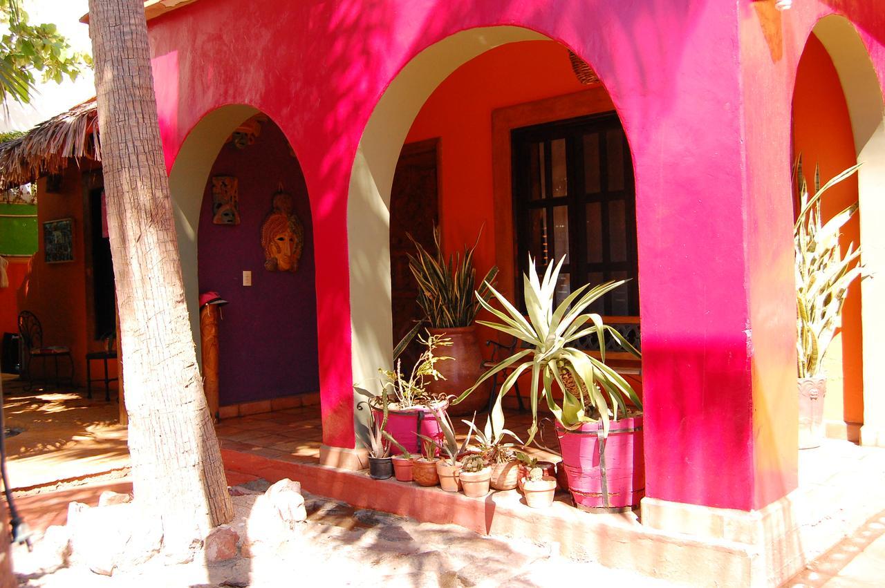 Hotel Leo'S Baja Oasis La Paz Exterior foto